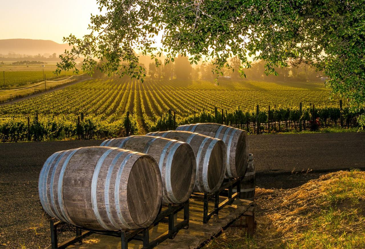 An Ideal Wine Country Getaway Villa Сесснок Екстер'єр фото